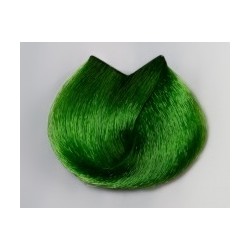 Farba do włosów Geneza 100ml A10 zielony